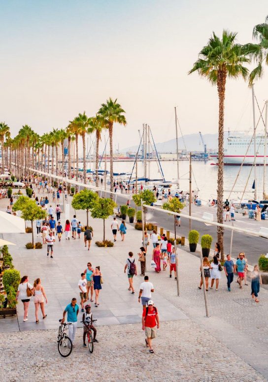 Walk along the Mediterranean in the port of the city of Malaga with its boats and palm trees.