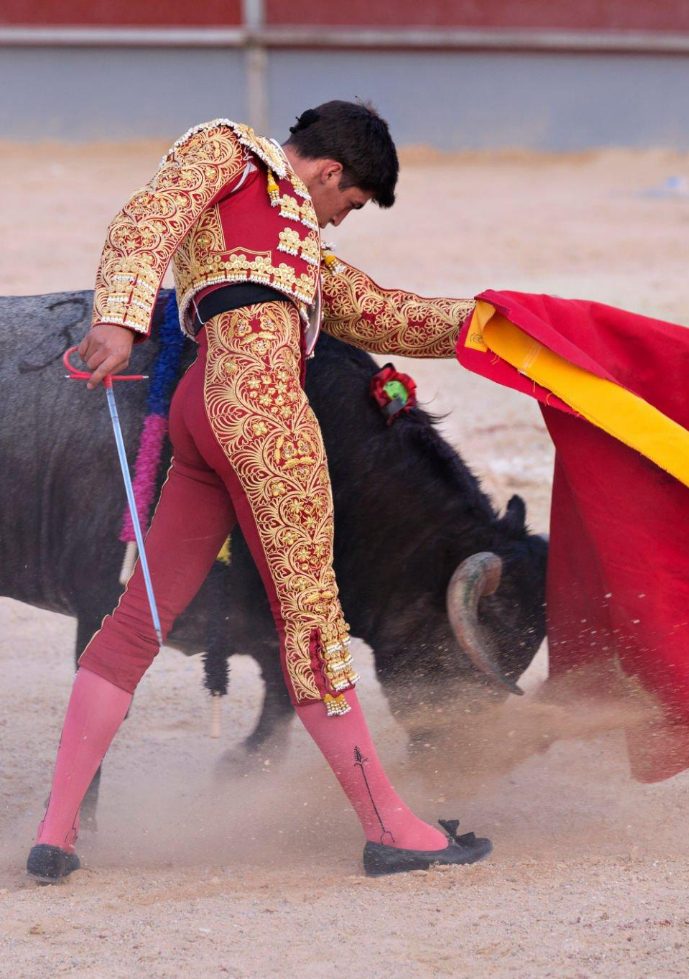 Bullfighter in his typical costume while the bull passes by him following his cape.
