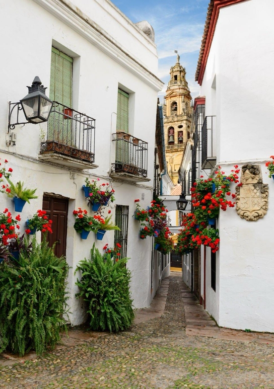 White street with its windows and balconies laden with flowers and the old bell tower in the background on our visit to the historical center of Cordoba.