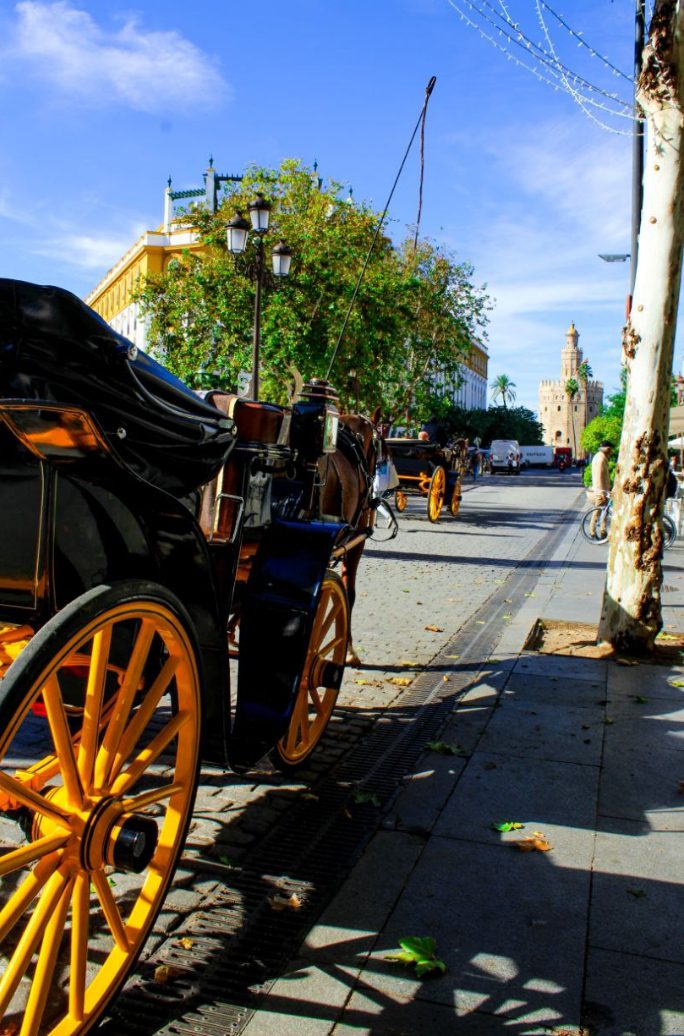 Horse carriages in the streets of Seville as you could book them to enjoy a city ride.