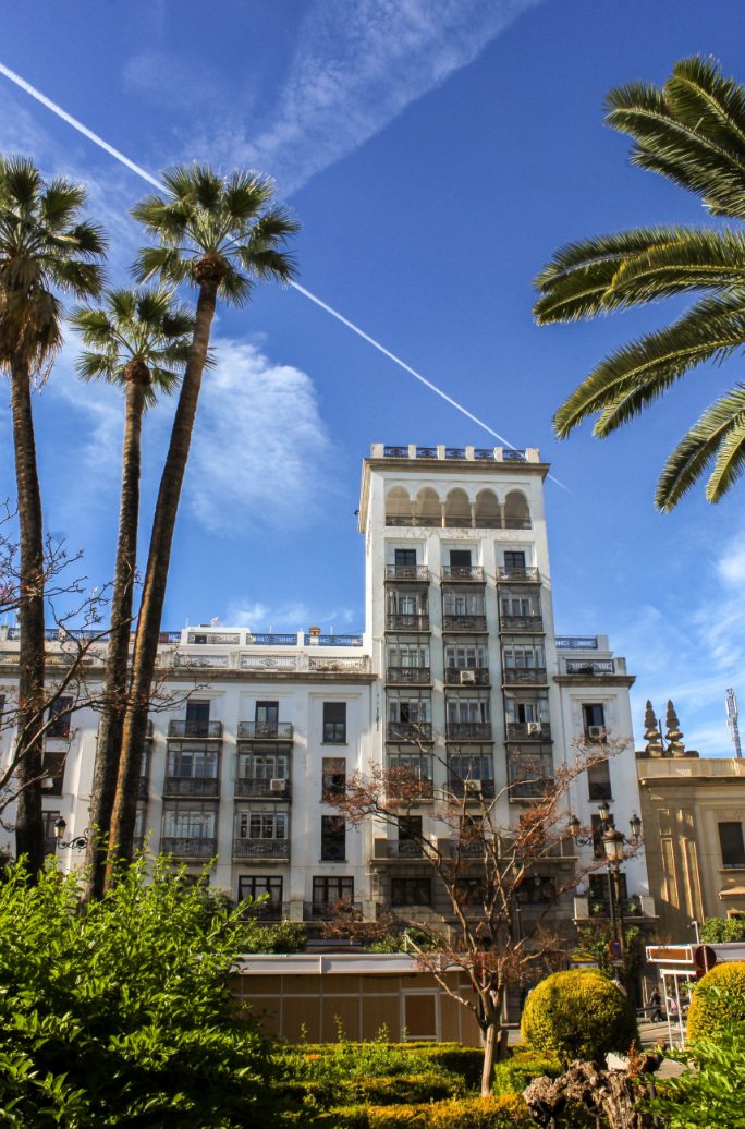 Main street in the center of Seville with its evergreen trees and blue sky.