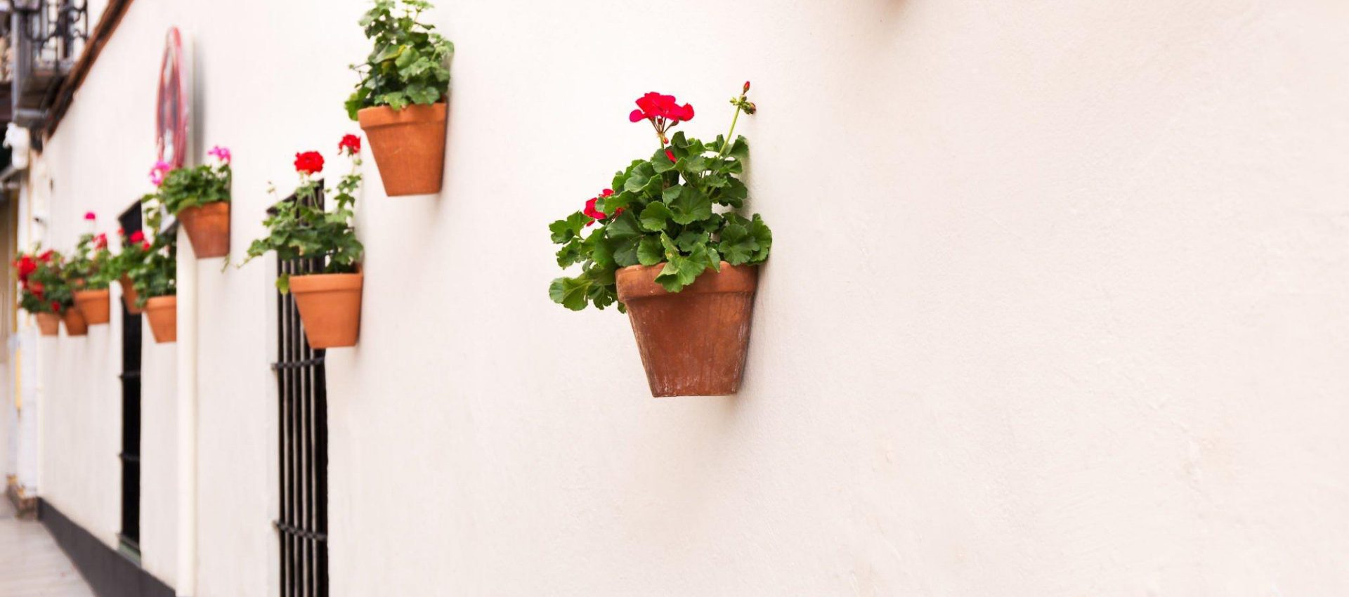 White wall decorated with colorful flowerpots typical of Andalusian cities.