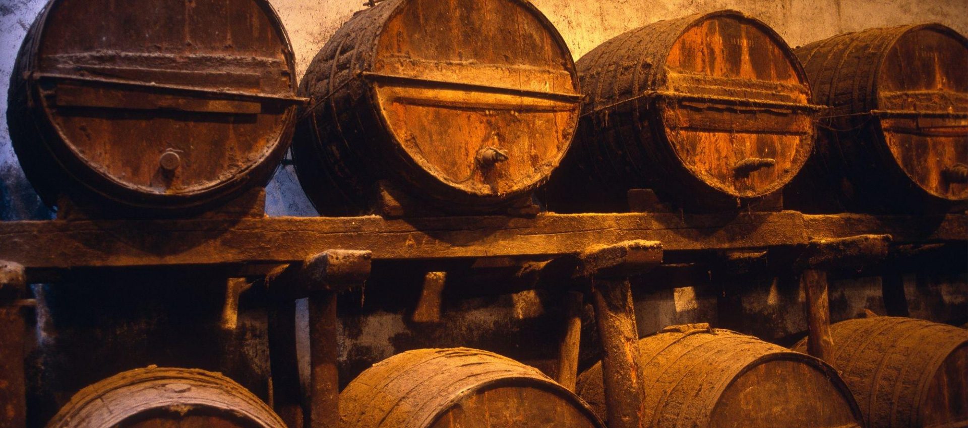 Old oak barrels from one of the traditional wine cellar we visit in the villages of Cadiz.